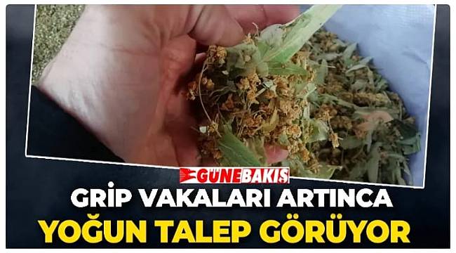 GRİP SALGINI HERKESİ TEDİRGİN ETMEYE BAŞLADI 