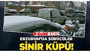 Sürücüler sinir küpü 