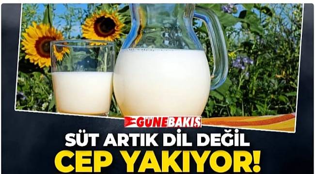 Süt artık dil değil cep yakıyor 